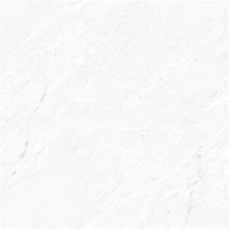 L-666W8305-香雪梅