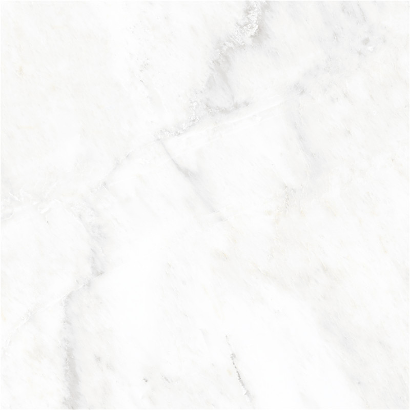 L-666W8310-东方白