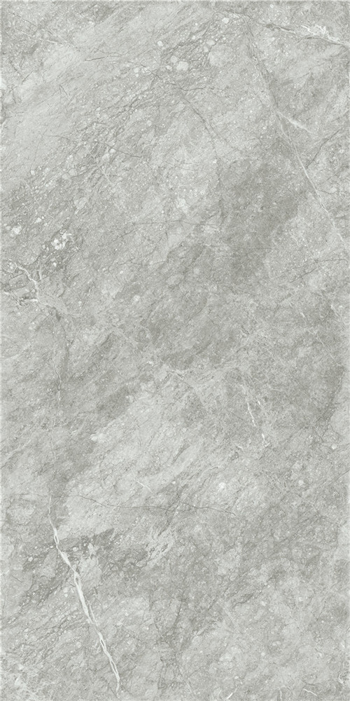 TC126821-杜卡迪灰