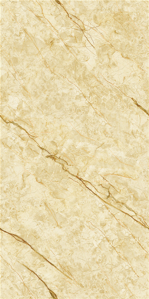 L-999K126005 威尼斯金