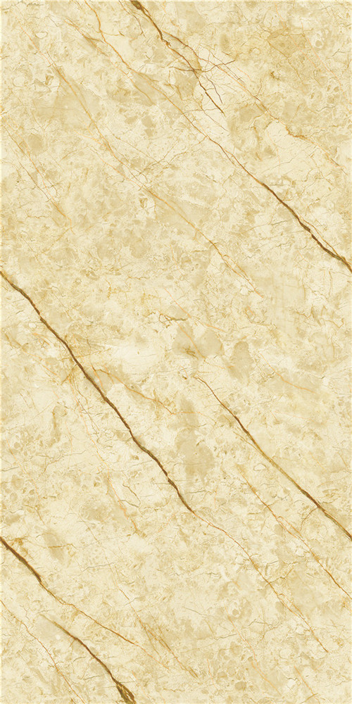 L-999K126005 威尼斯金