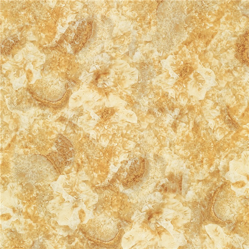 L-HC8801凯撒大帝