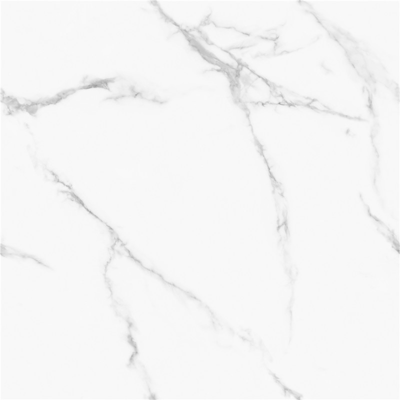 L-GT8611-顶级鱼肚白