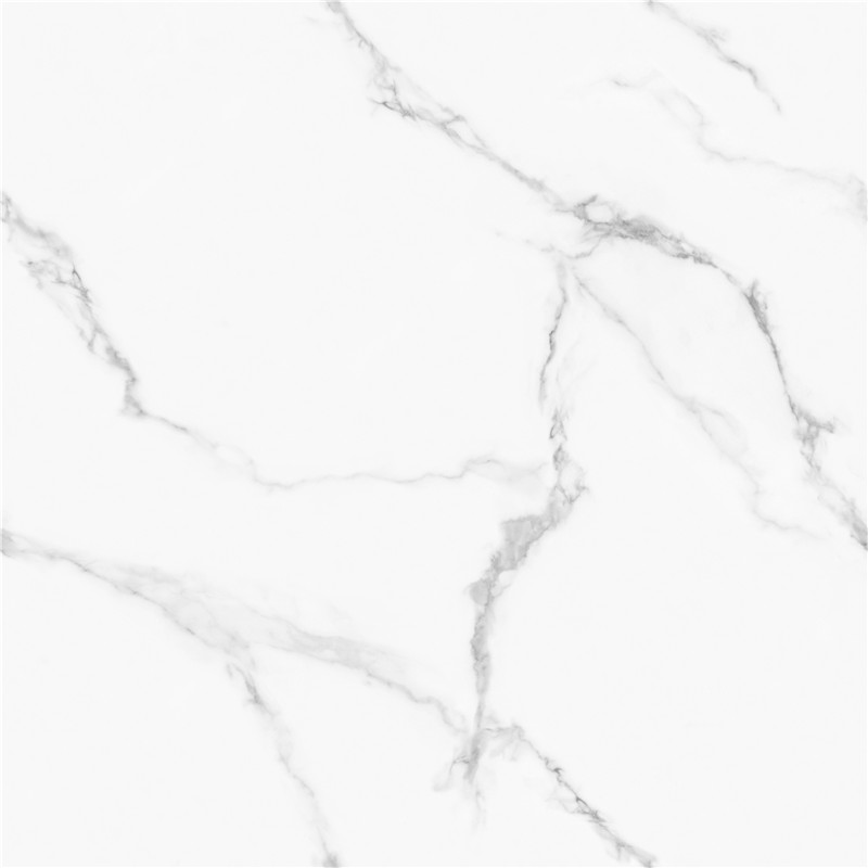 L-GT8611-顶级鱼肚白