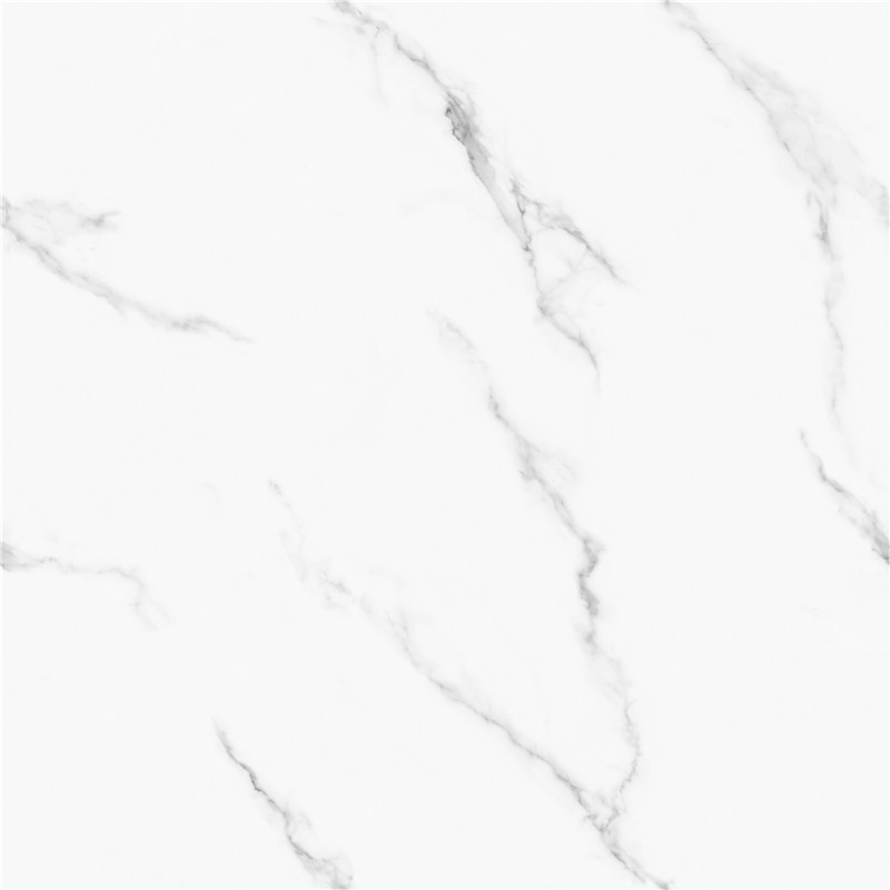 L-GT8611-顶级鱼肚白