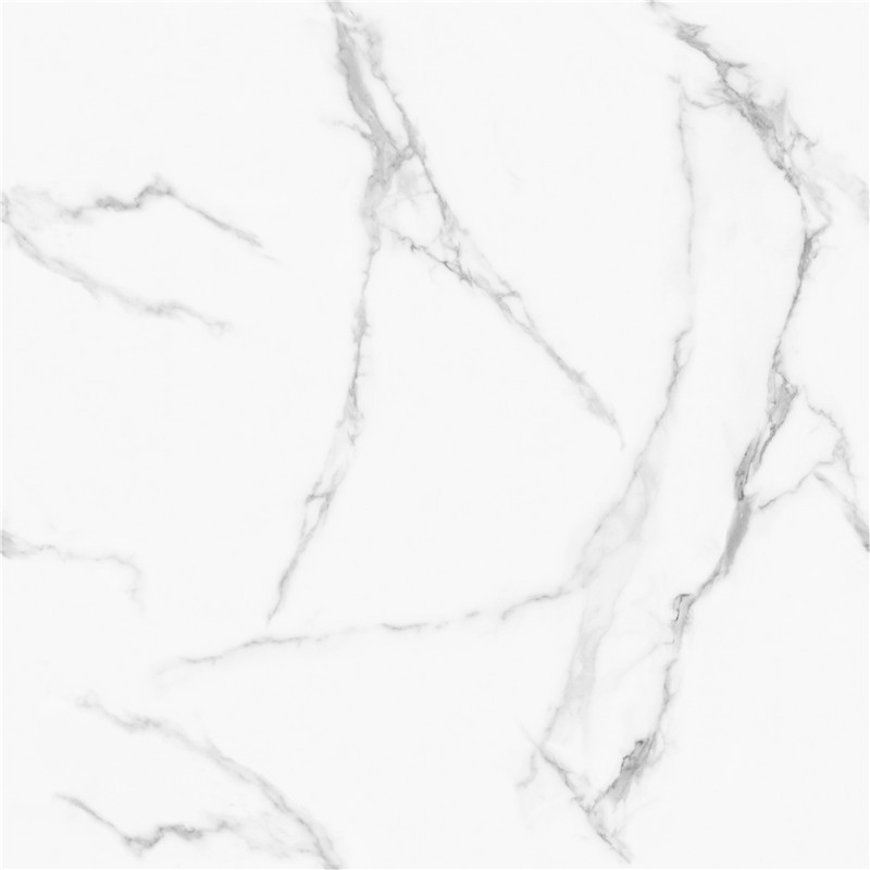 L-GT8611-顶级鱼肚白