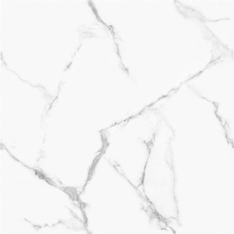 L-GT8611-顶级鱼肚白