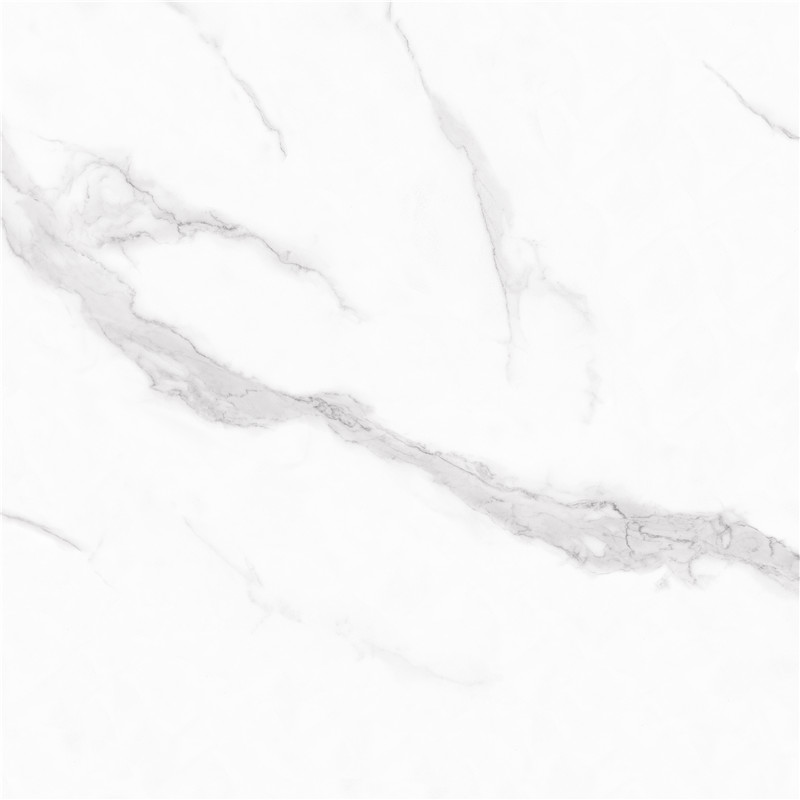 L-888LW01-踏雪寻梅