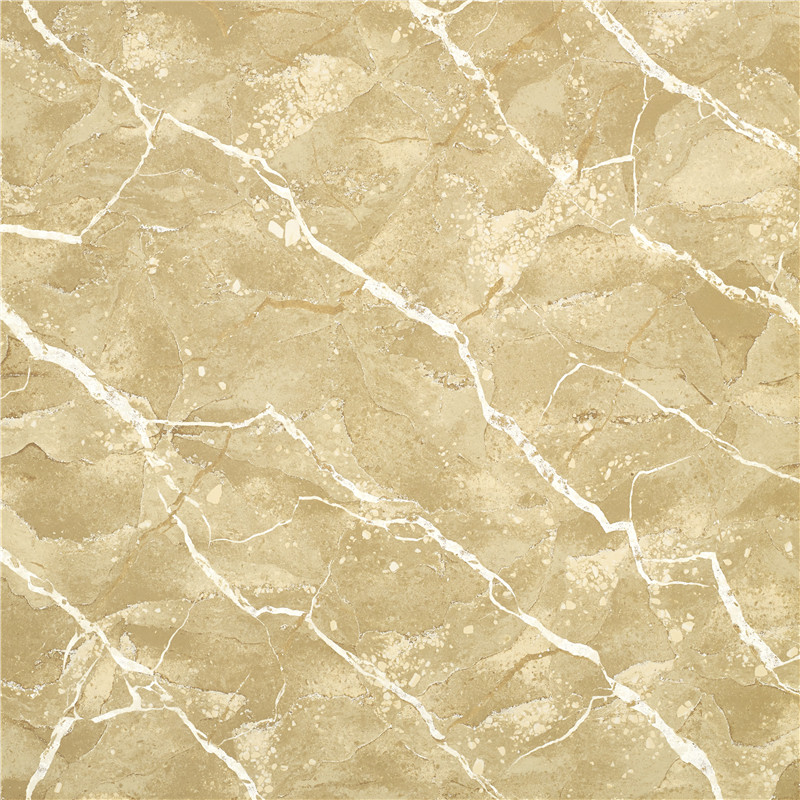 HH-L808-时代辉煌