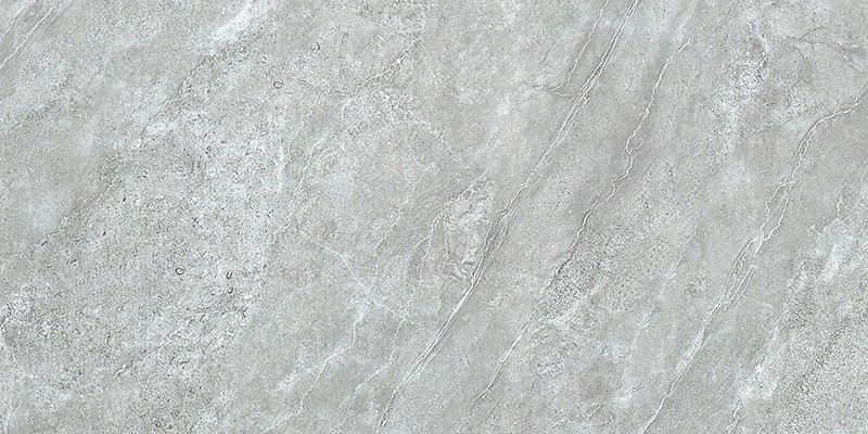 L1-GT48921世纪摩根浅灰