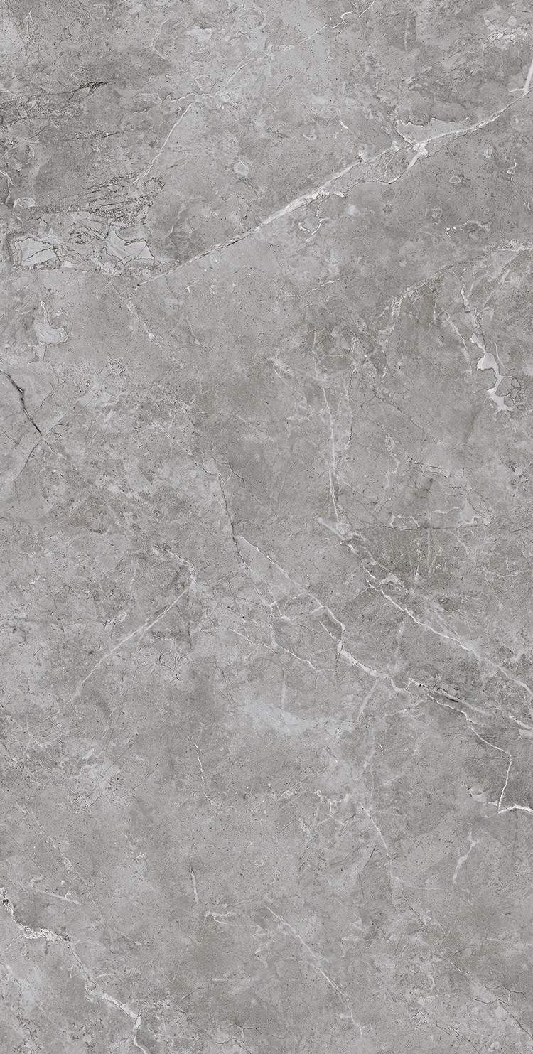 NS715079 蝶恋墨石