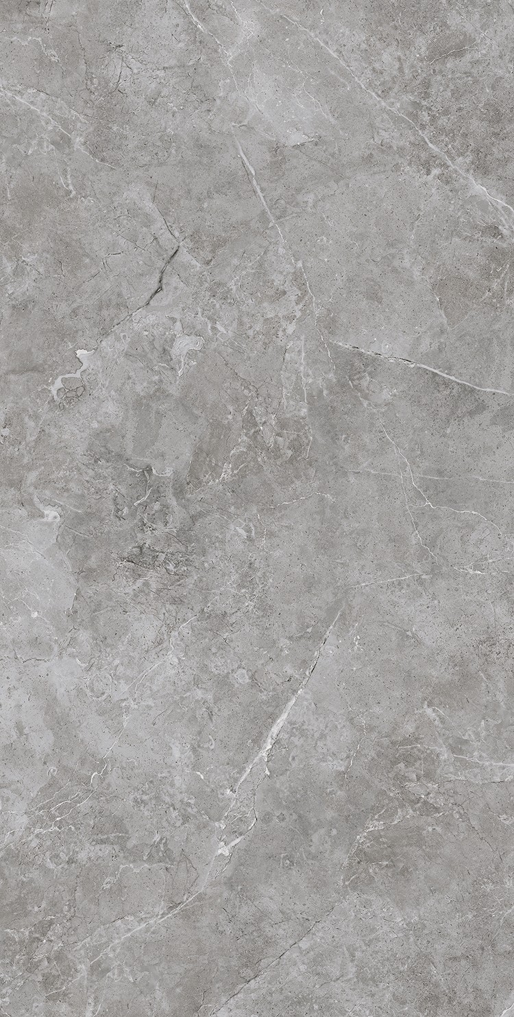 NS715079 蝶恋墨石