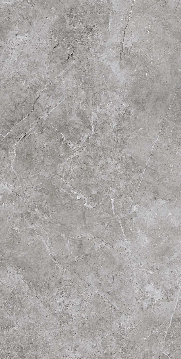 NS715079 蝶恋墨石