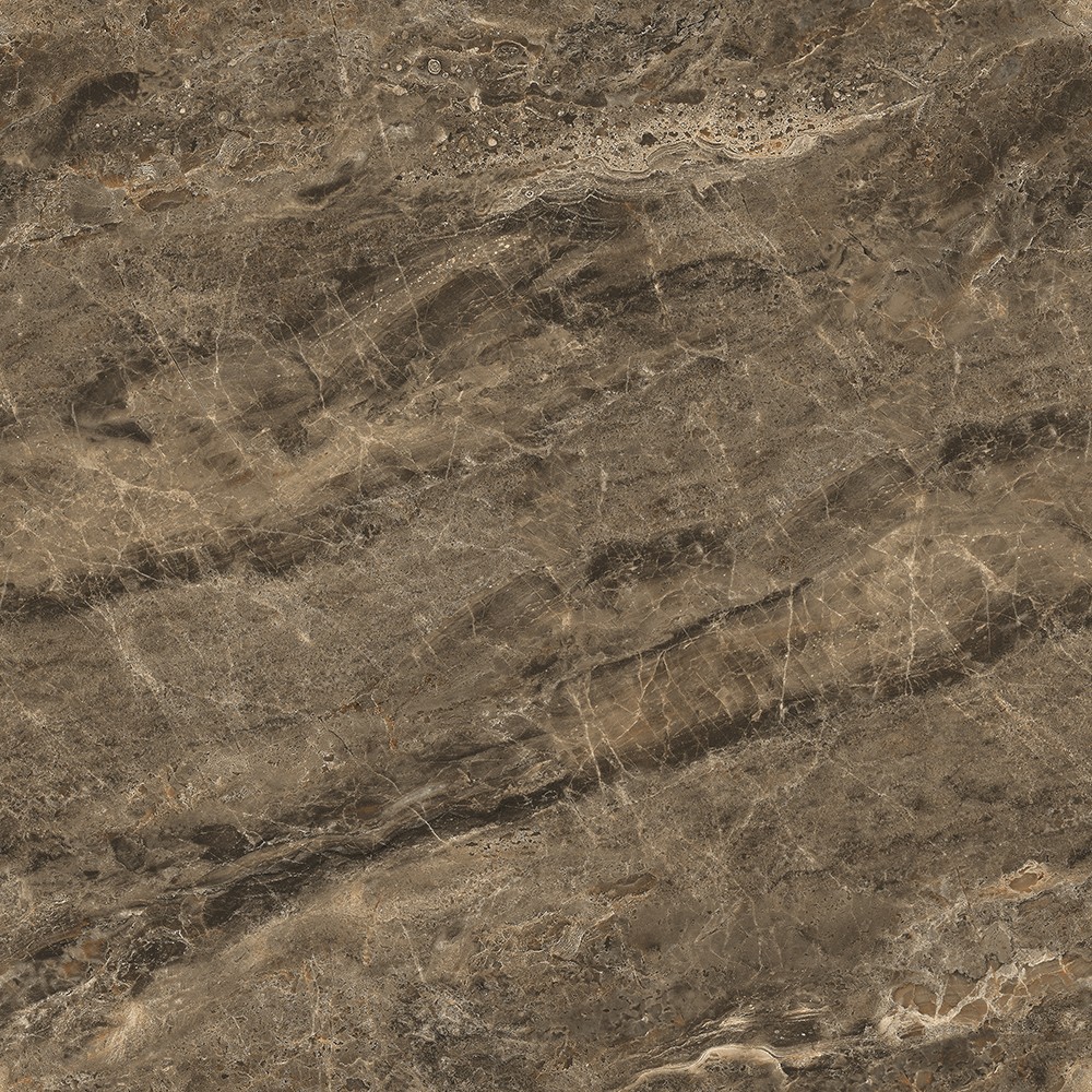 JL88808B七星高照