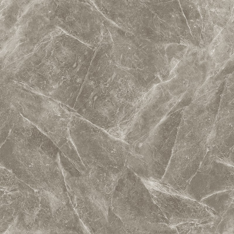 L-13CH807 欧米茄灰