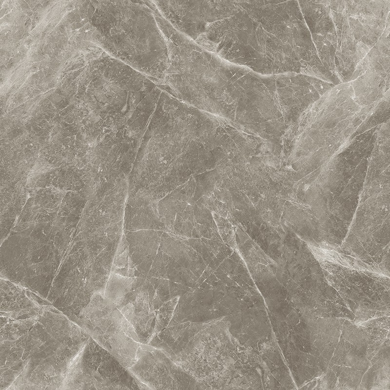 L-13CH807 欧米茄灰