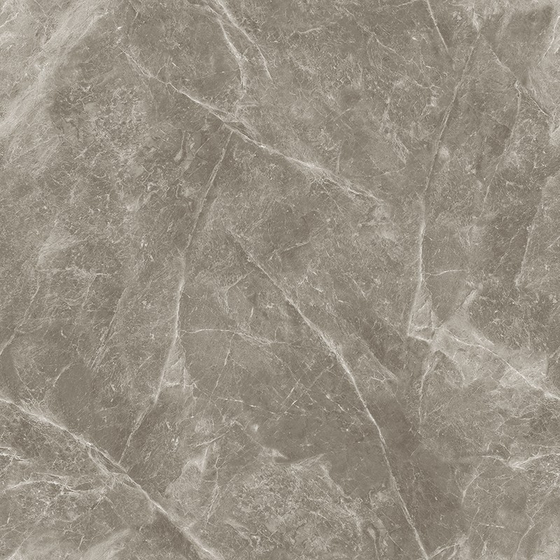 L-13CH807 欧米茄灰