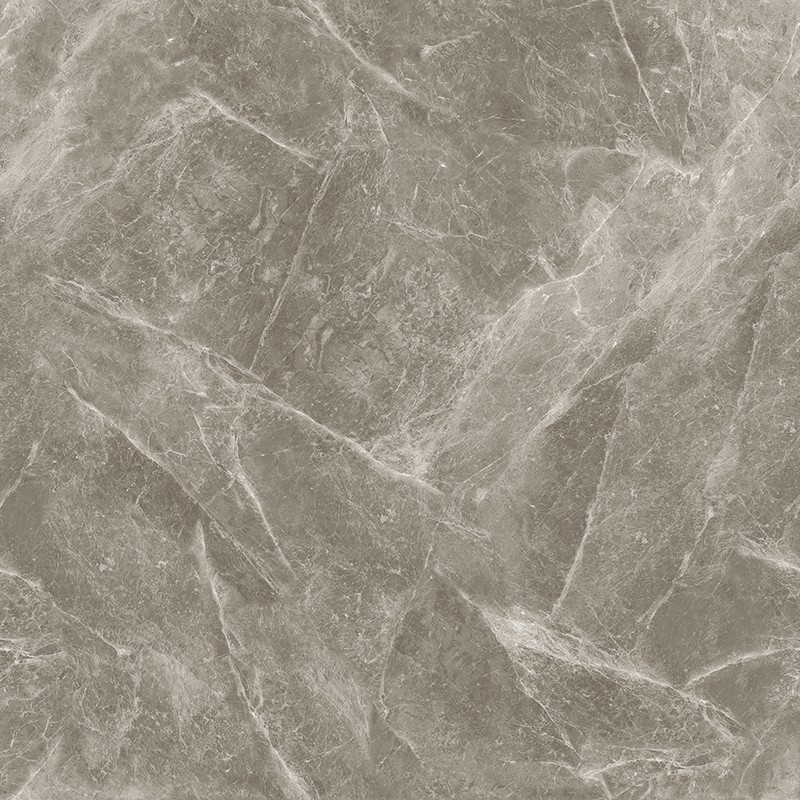 L-13CH807 欧米茄灰