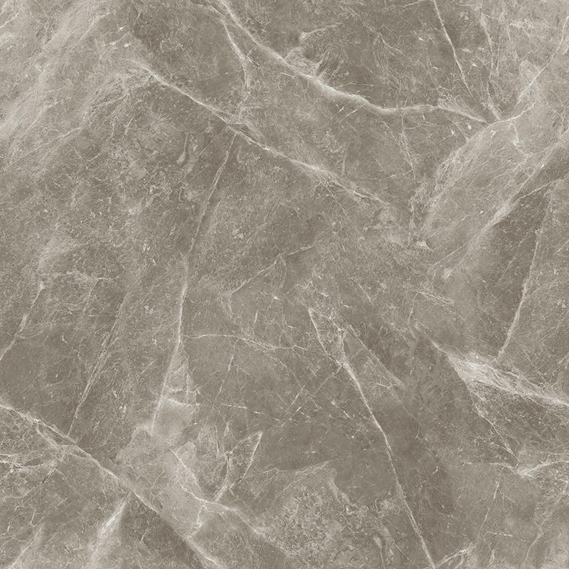 L-13CH807 欧米茄灰