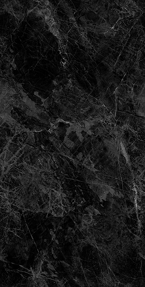 YB715067B-夜舟荷塘