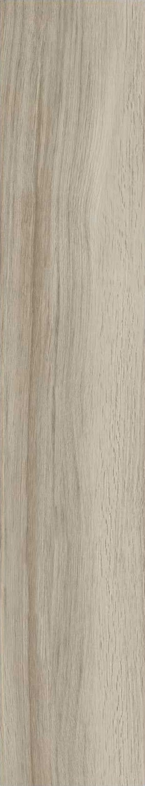 JMT1204-芬兰赤松