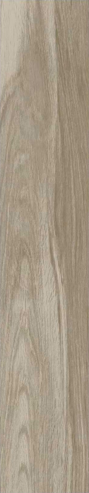 JMT1204-芬兰赤松