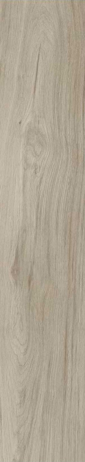 JMT1204-芬兰赤松