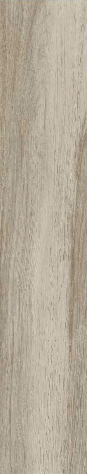 JMT1204-芬兰赤松