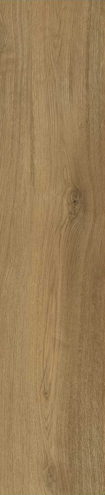 JMT1206-南美榆木