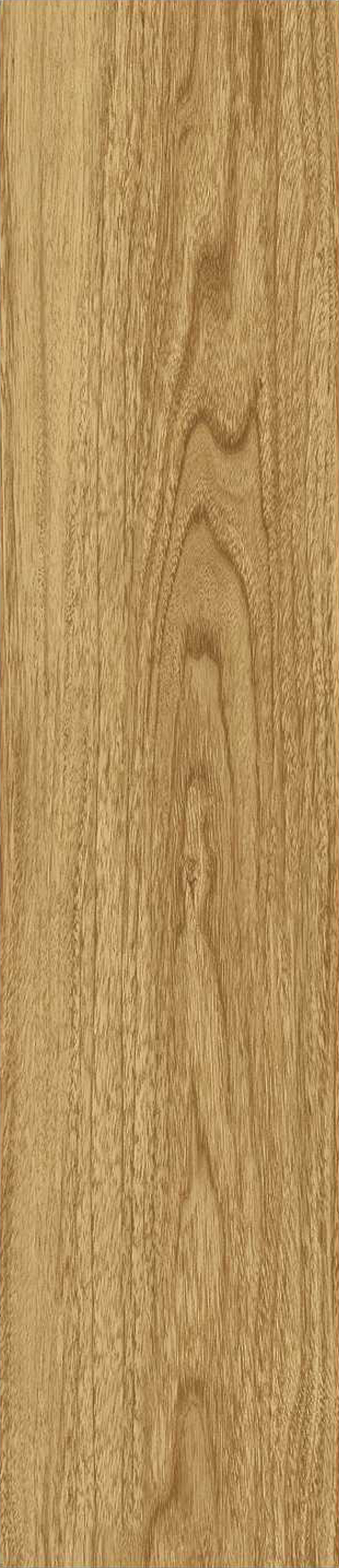 JMT1207-东洋樱桃