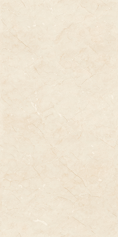 GT715105H极品莎安娜