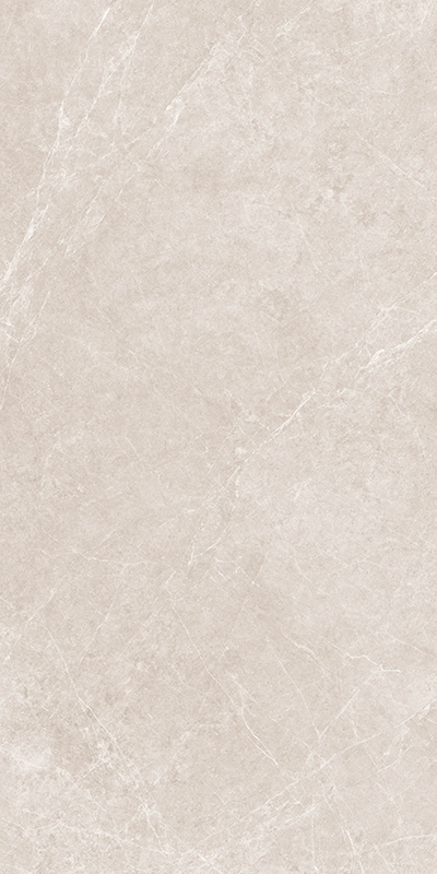 NS715815明珠中灰